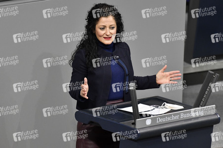 215. Sitzung des Deutschen Bundestages in Berlin