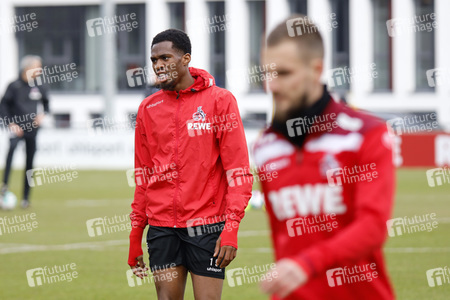 Training des 1. FC Köln