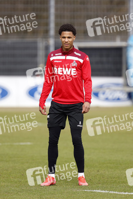 Training des 1. FC Köln