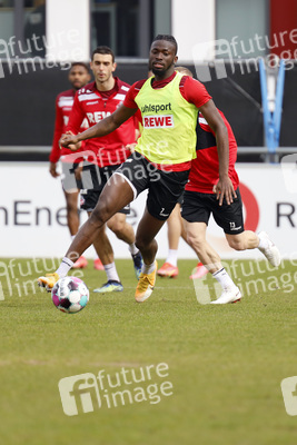Training des 1. FC Köln