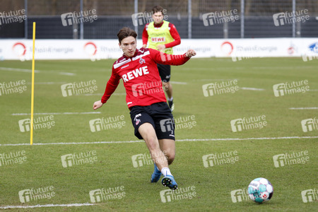 Training des 1. FC Köln