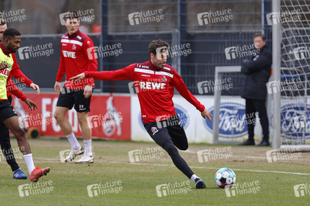 Training des 1. FC Köln