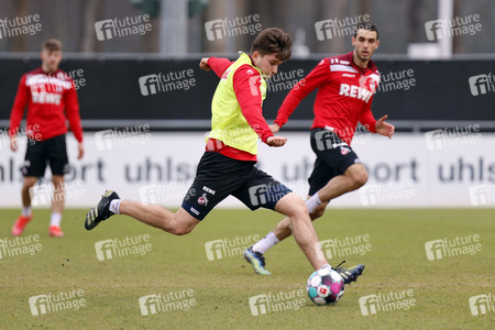 Training des 1. FC Köln