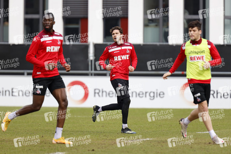 Training des 1. FC Köln