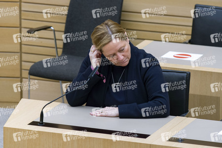 Landtagswahl in Baden-Württemberg
