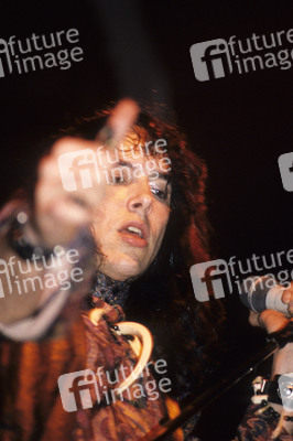 Konzert von The Fuzztones in London