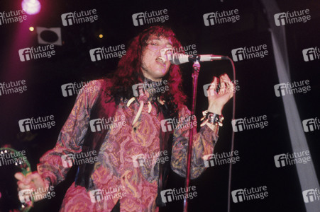 Konzert von The Fuzztones in London