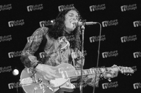 Konzert von The Fuzztones in London