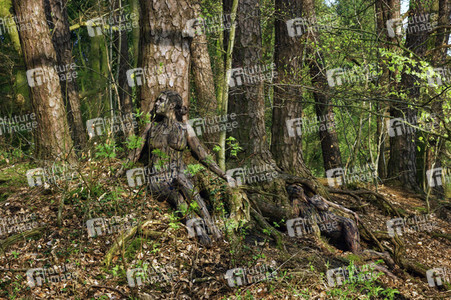 'Internationaler Tag des Waldes / International Day of Forests'-Bodypainting