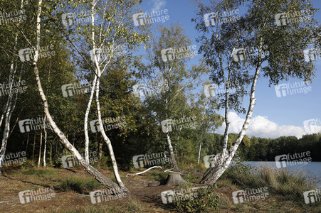 'Internationaler Tag des Waldes / International Day of Forests'-Bodypainting