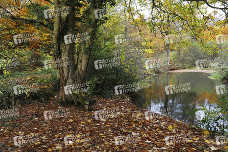 'Internationaler Tag des Waldes / International Day of Forests'-Bodypainting