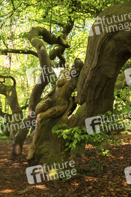 'Welttag des Holzes / World Wood Day'-Bodypainting