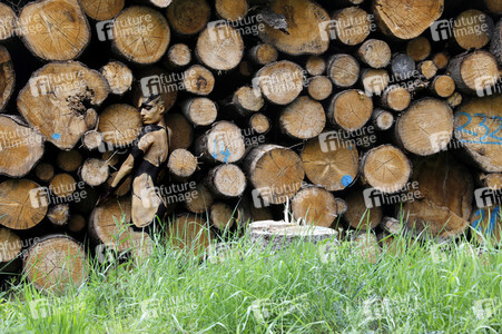 'Welttag des Holzes / World Wood Day'-Bodypainting