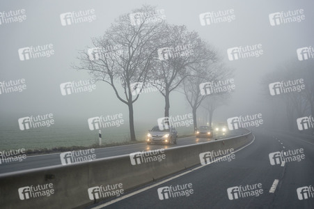 Symbolfoto Nebel im Straßenverkehr