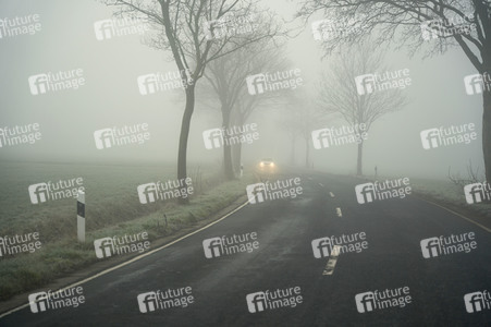 Symbolfoto Nebel im Straßenverkehr