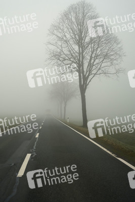 Symbolfoto Nebel im Straßenverkehr