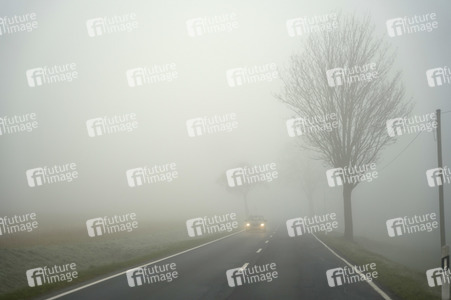 Symbolfoto Nebel im Straßenverkehr