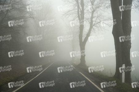 Symbolfoto Nebel im Straßenverkehr
