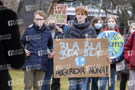 Fridays for Future Demo in Reykjavik