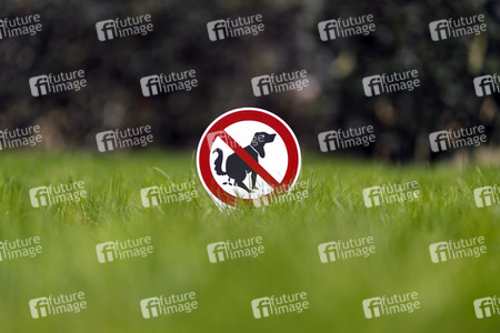Symbolfoto Hundeklo