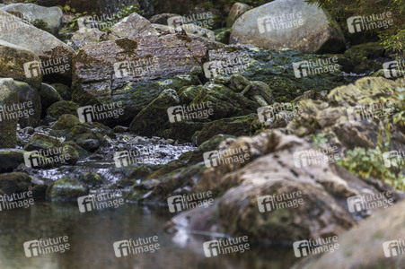 'Weltwassertag / World Water Day'-Bodypainting