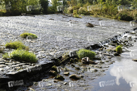 'Weltwassertag / World Water Day'-Bodypainting