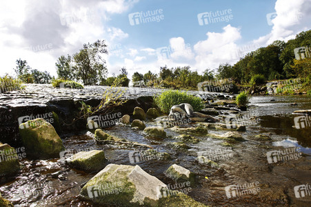 'Weltwassertag / World Water Day'-Bodypainting