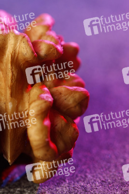 Symbolfoto Hirnthrombose