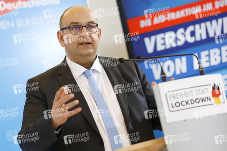 Pressestatement der AfD in Berlin