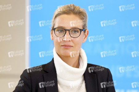 Pressestatement der AfD in Berlin