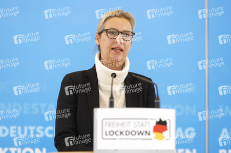 Pressestatement der AfD in Berlin