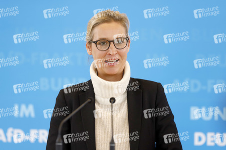 Pressestatement der AfD in Berlin