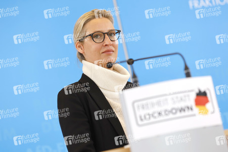 Pressestatement der AfD in Berlin