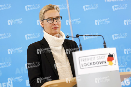 Pressestatement der AfD in Berlin