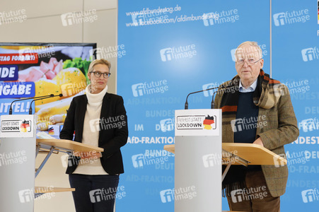 Pressestatement der AfD in Berlin