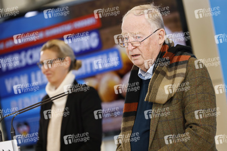 Pressestatement der AfD in Berlin