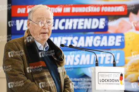 Pressestatement der AfD in Berlin