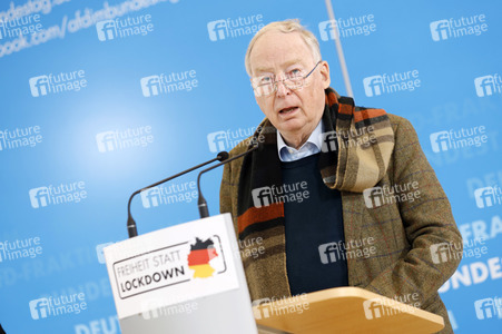 Pressestatement der AfD in Berlin