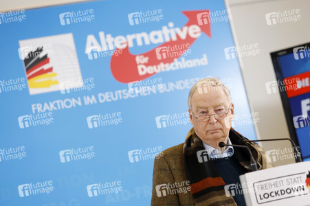 Pressestatement der AfD in Berlin