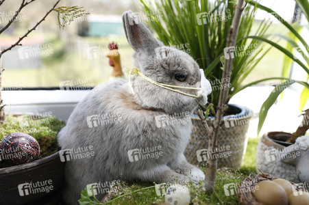 Symbolfoto Ostern im Lockdown