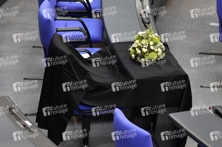 217. Sitzung des Deutschen Bundestages in Berlin