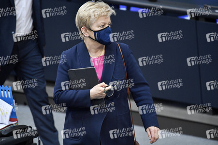 217. Sitzung des Deutschen Bundestages in Berlin