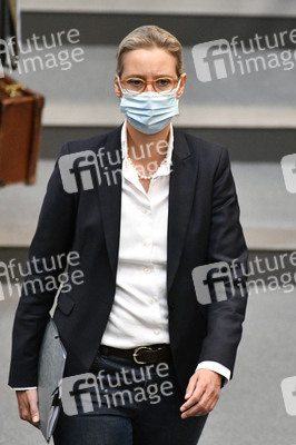 217. Sitzung des Deutschen Bundestages in Berlin