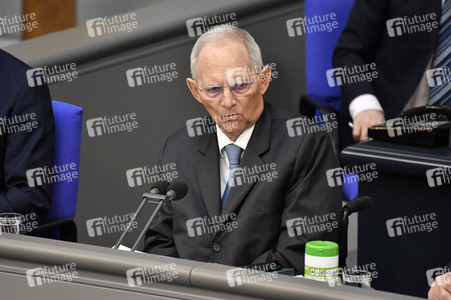 217. Sitzung des Deutschen Bundestages in Berlin