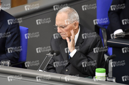 217. Sitzung des Deutschen Bundestages in Berlin