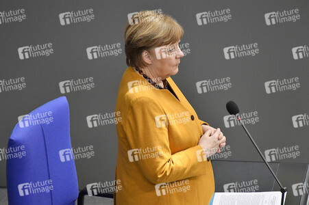 217. Sitzung des Deutschen Bundestages in Berlin