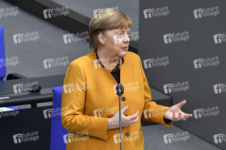 217. Sitzung des Deutschen Bundestages in Berlin