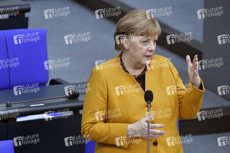 217. Sitzung des Deutschen Bundestages in Berlin