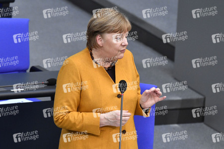 217. Sitzung des Deutschen Bundestages in Berlin