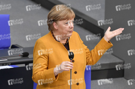 217. Sitzung des Deutschen Bundestages in Berlin